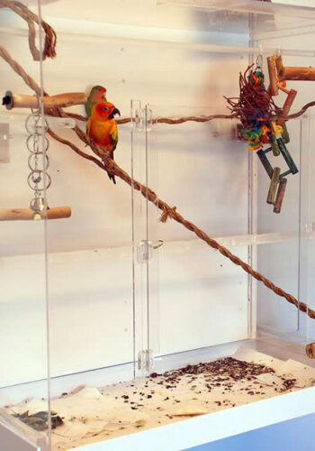 Plastic Fabrication Birdcage